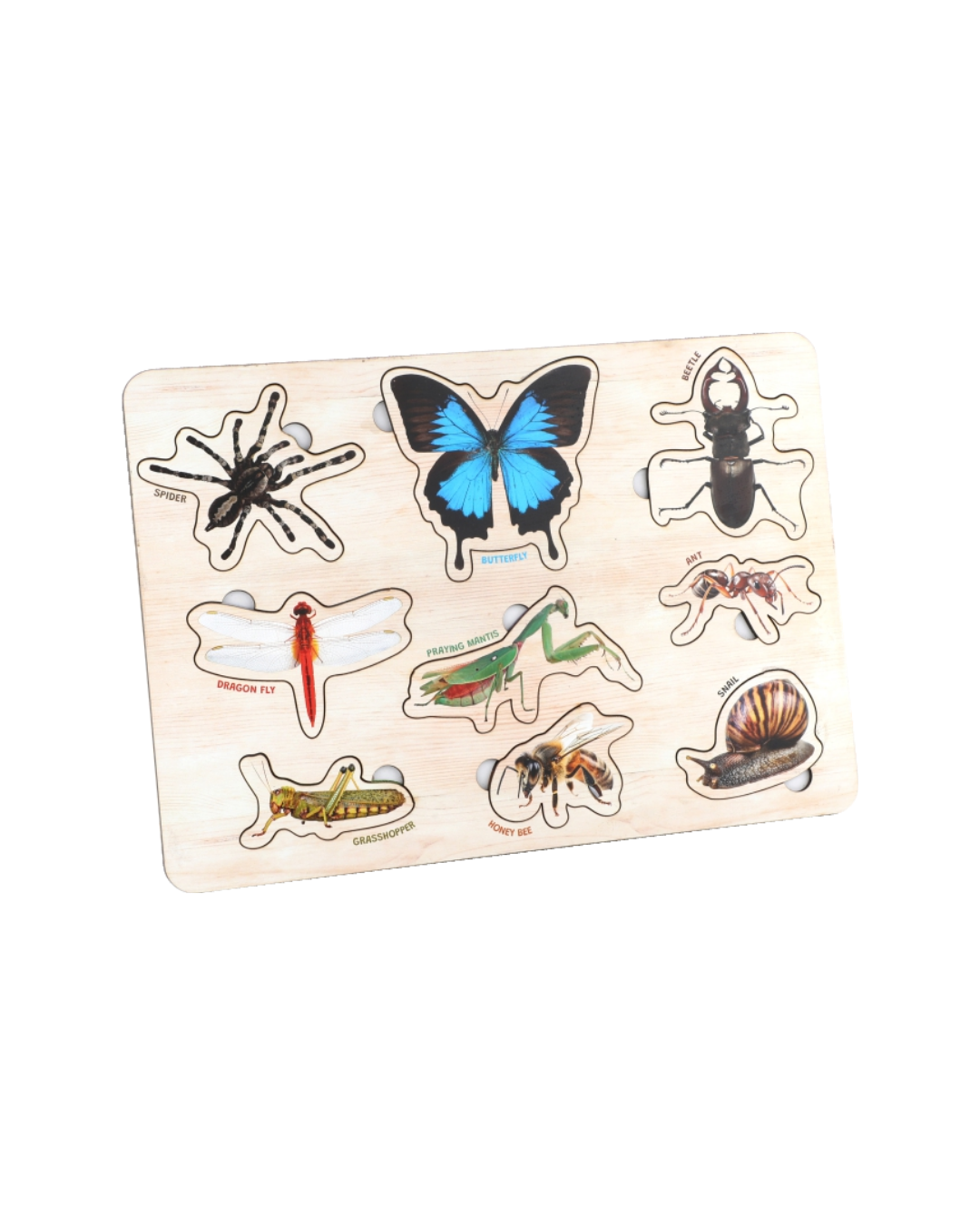 Wooden Insects Educational Puzzle