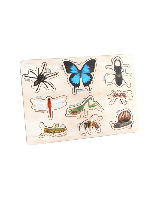 Wooden Insects Educational Puzzle